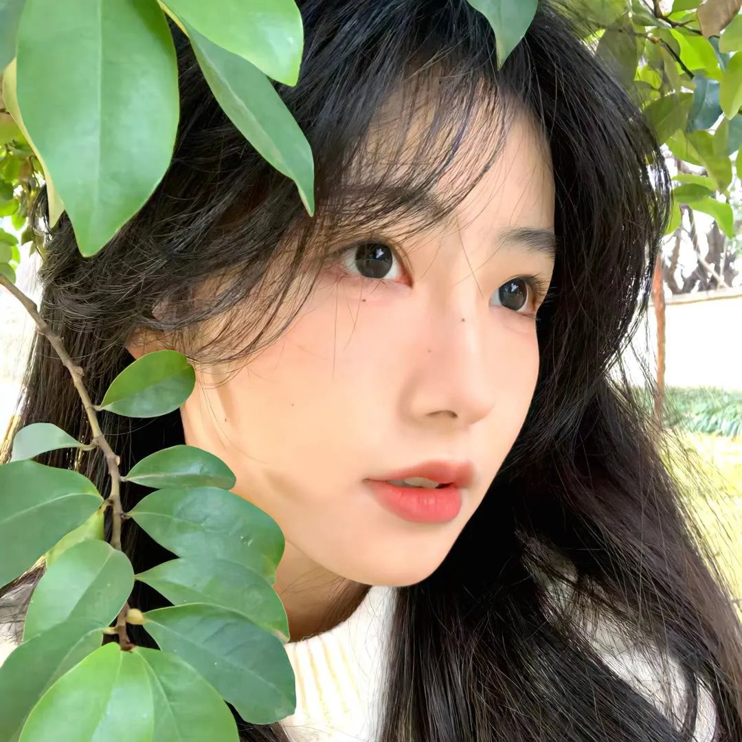 女王旅途